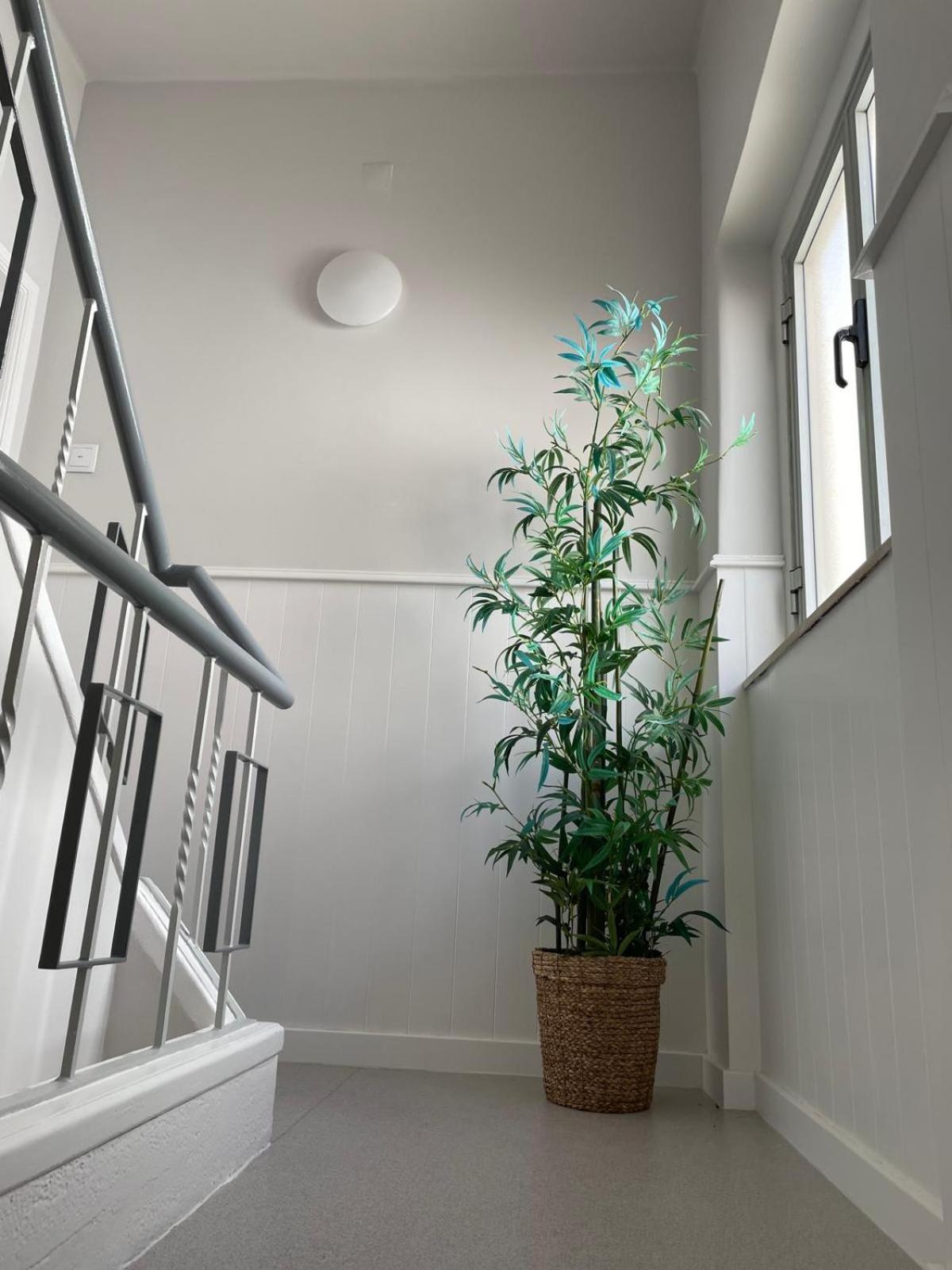 Apartmán Lugar Dos Avos Nazaré Pokoj fotografie